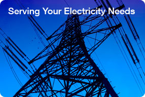 UMG Bulk Energy Suppliers