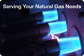 UMG Bulk Energy Suppliers